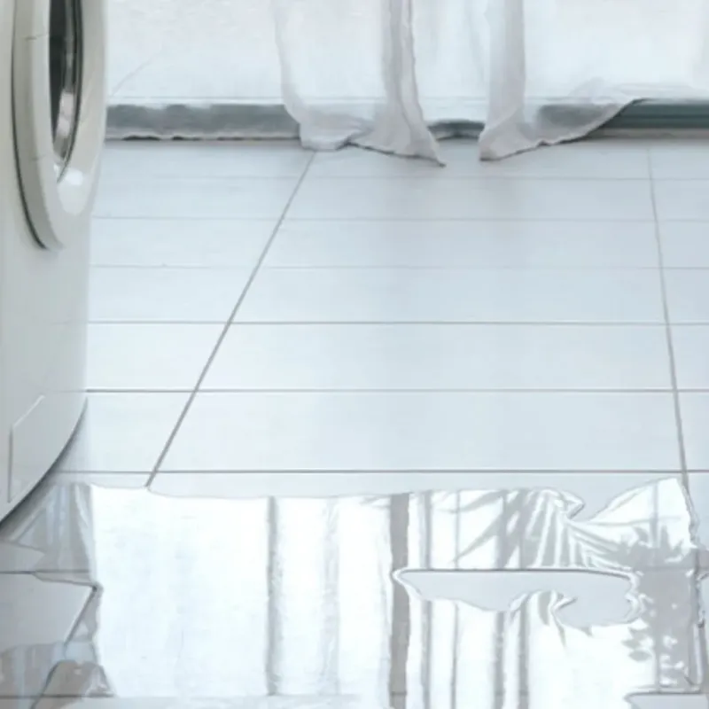 Appliance Leak Cleanup in Hickman County, KY