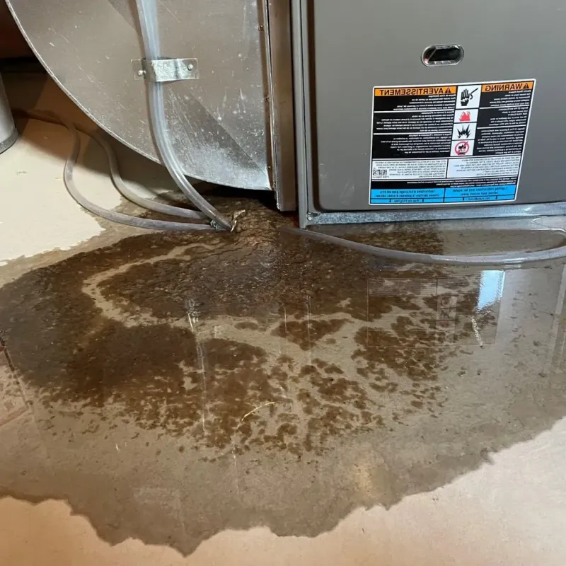 Pipe Burst and Leak Restoration in Hickman County, KY