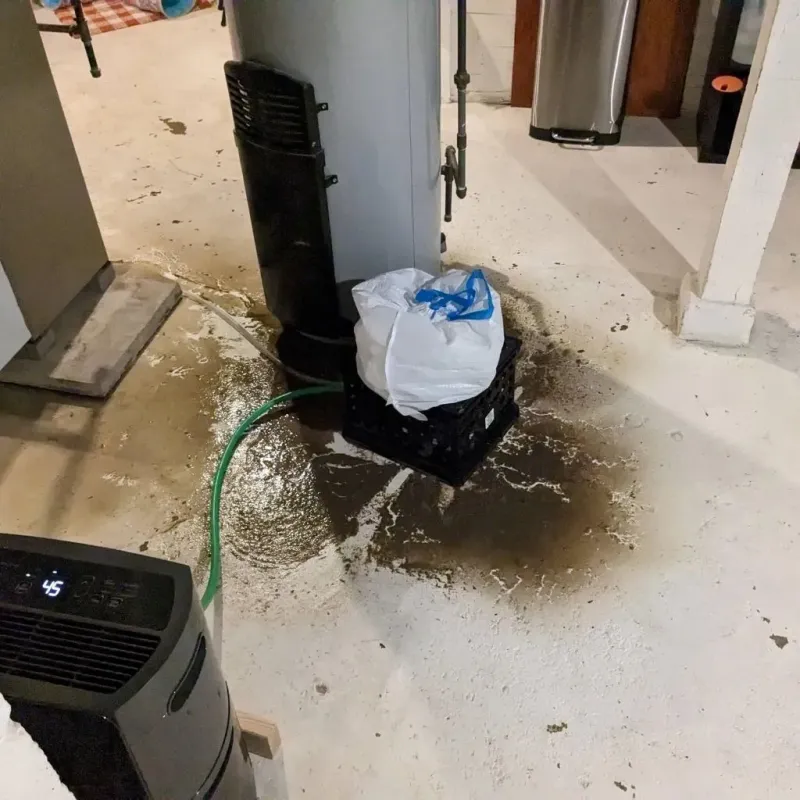 Sewage Backup Cleanup Service in Hickman County, KY